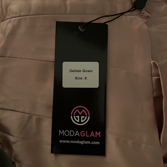 Corset Gown- Blush - Picture 4 of 4